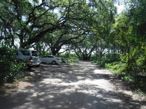 Florida Bike Trails, Timucuan Trail