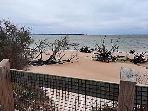 Florida Bike Trails, Timucuan Trail