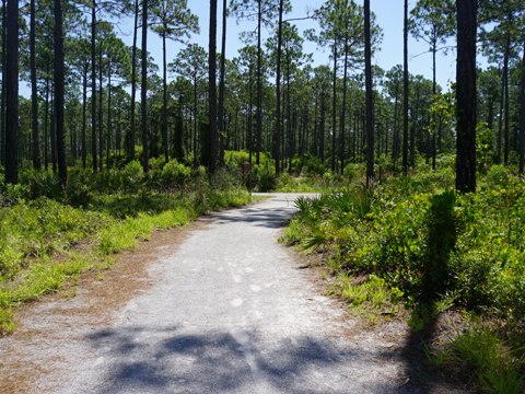 Florida Bike Trails, Panhandle, Gayle's Trails