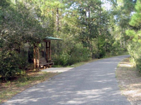 Florida Bike Trails, Tallahassee-St. Marks Trail