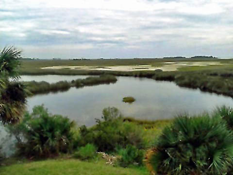 Florida Bike Trails, Tallahassee-St. Marks Trail