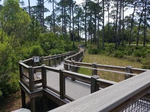 Florida Bike Trails, Tallahassee-St. Marks Trail