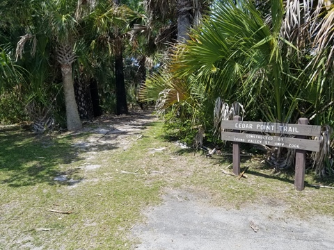 Florida Bike Trails, Tallahassee-St. Marks Trail