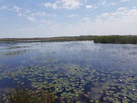 Florida Bike Trails, Tallahassee-St. Marks Trail