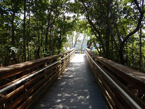 Black Creek Trail