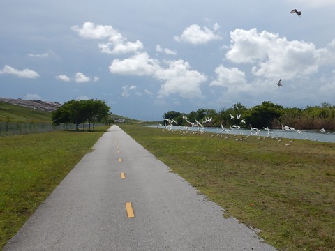 Black Creek Trail