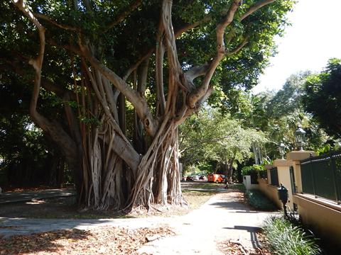 Old Cutler Trail