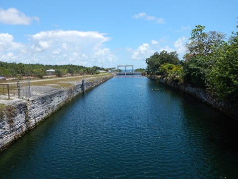 Old Cutler Trail