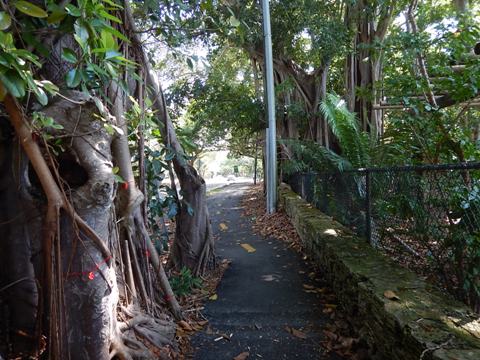 Old Cutler Trail