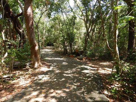 Old Cutler Trail