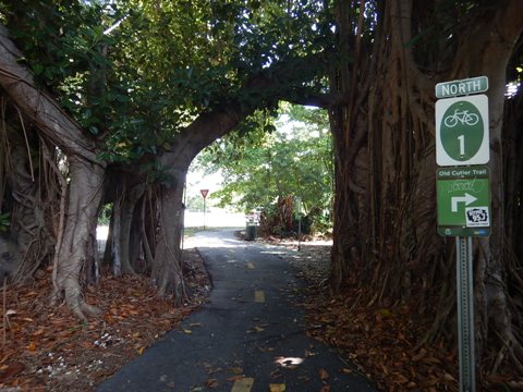 Old Cutler Trail