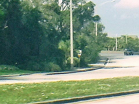 Cypress Creek Greenway, Tamarac, Pompano