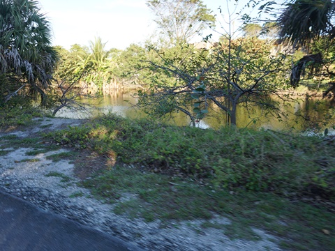 El Rio Trail, Boca Raton biking