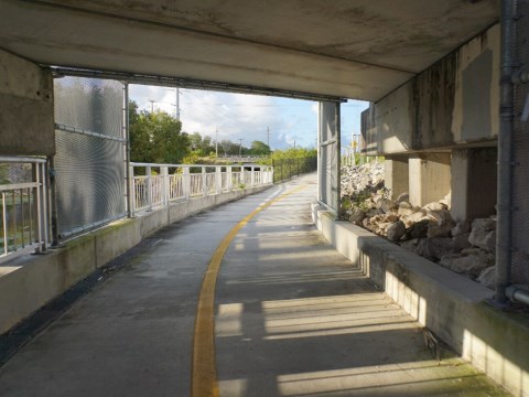 El Rio Trail, Boca Raton biking