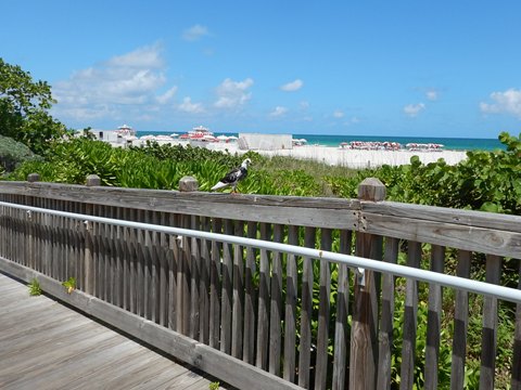 Miami Beach Boardwalk, Mid Beach