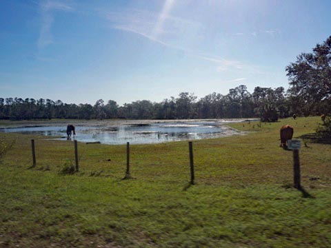 North Port Connector, Venice Legacy Trail to North Port FL biking