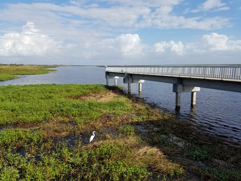 Lake Okeechobee Scenic Trail, Northeast section