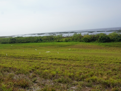 Lake Okeechobee Scenic Trail, Northeast section