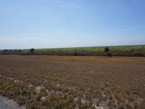 Lake Okeechobee Scenic Trail, Northeast section