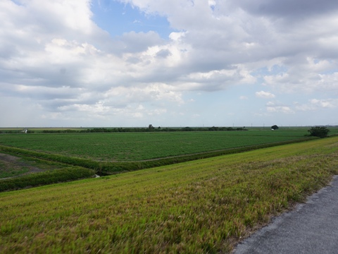 Lake Okeechobee Scenic Trail, Southeast Section
