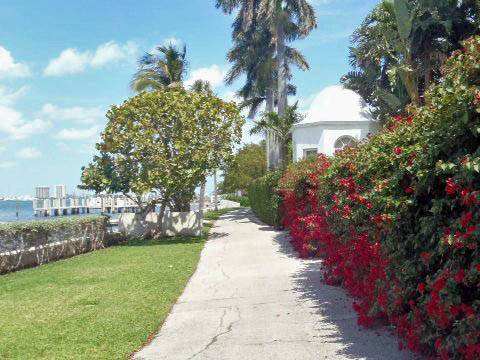 Biking on Palm Beach Lake Trail