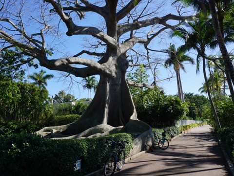 Palm Beach Lake Trail