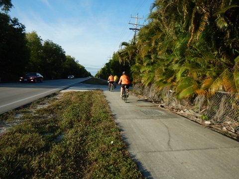 Pine Island Trail