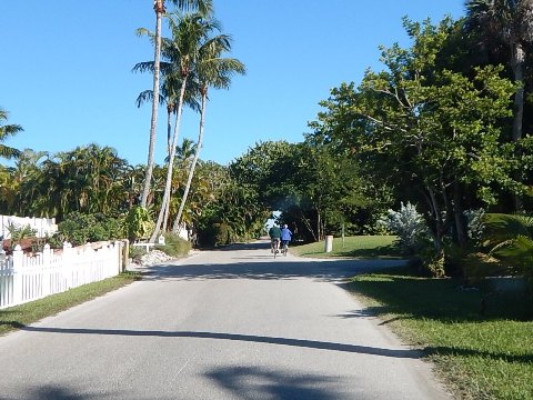 Pine Island Trail