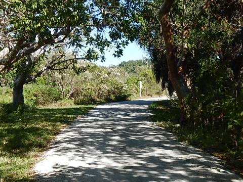 Pine Island Trail