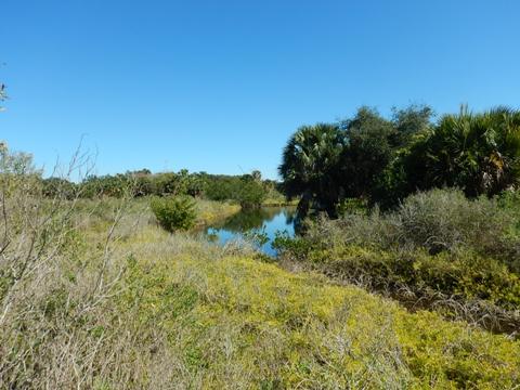 Pine Island Trail