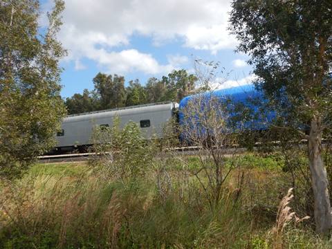 John Yarbrough Linear Park Trail, Ft Myers FL