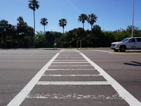 Bayshore Trail Clearwater