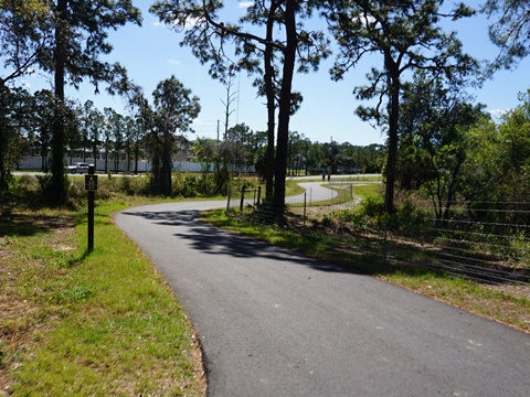 Coastal Anclote Trail