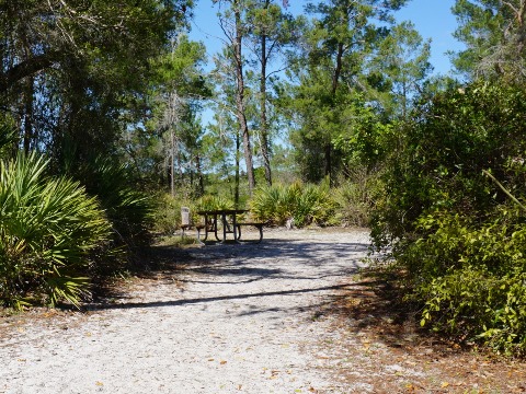 Florida Bike Trails, Coastal Anclote Trail