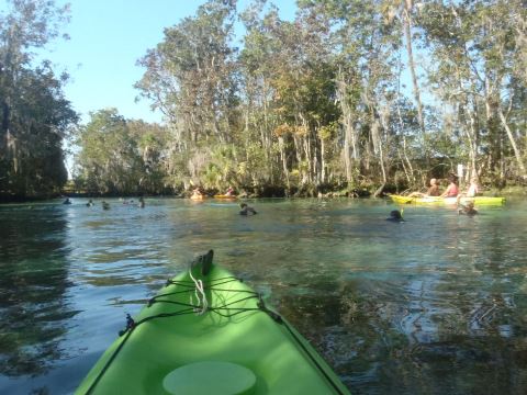 Florida Bike Trails, Crystal River