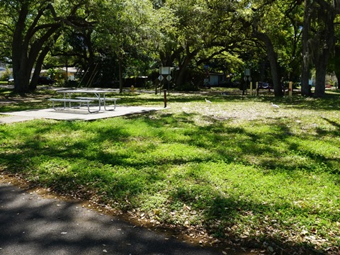 Florida Bike Trails, Druid Road Trail, Pinellas Trail Loop