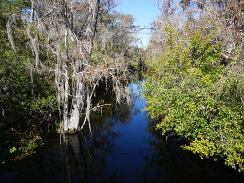 Florida Bike Trails, Pinellas Loop Trail, Duke Energy Trail