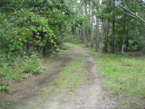 Florida Bike Trails, Old Fort King Road