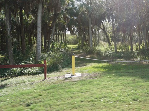 Florida Bike Trails, Oldsmar Trail, Mobbly Preserve