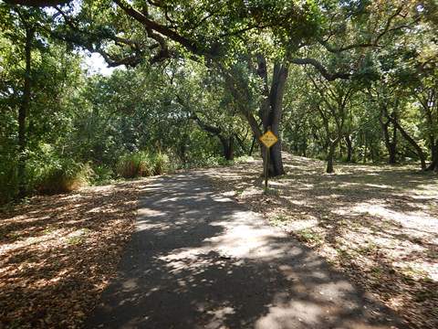 Florida Bike Trails, Ream Wilson Clearwater Trail