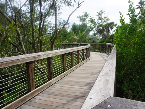 Florida Bike Trails, Ream Wilson Clearwater Trail