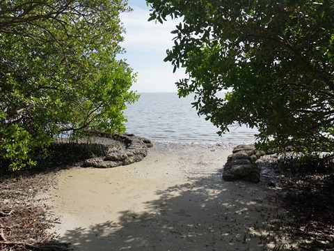 Florida Bike Trails, Ream Wilson Clearwater Trail