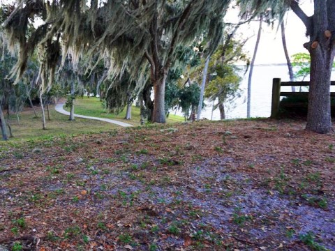 Florida Bike Trails, Ream Wilson Clearwater Trail