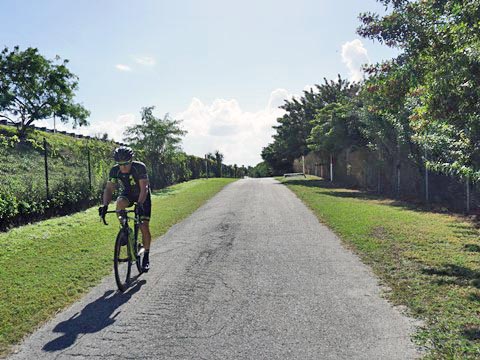 Skyway Park Trail