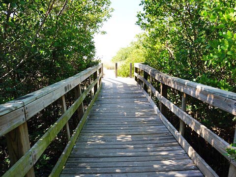 Florida Bike Trails, Skyway Park Trail, Veterans Memorial Trail, Tampa