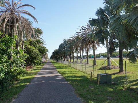 Skyway Trail, St. Petersburg