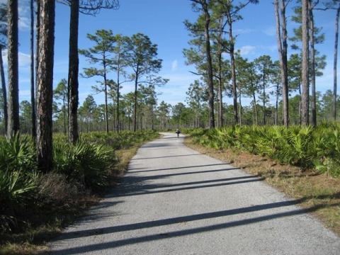 Florida Bike Trails, Starkey Wilderness Trail