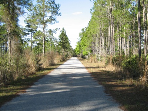 Florida Bike Trails, Suncoast Trail