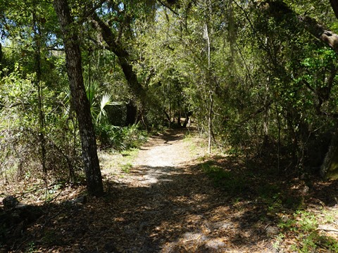 Florida Bike Trails, Suncoast Trail