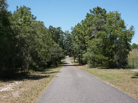 Florida Bike Trails, Suncoast Trail